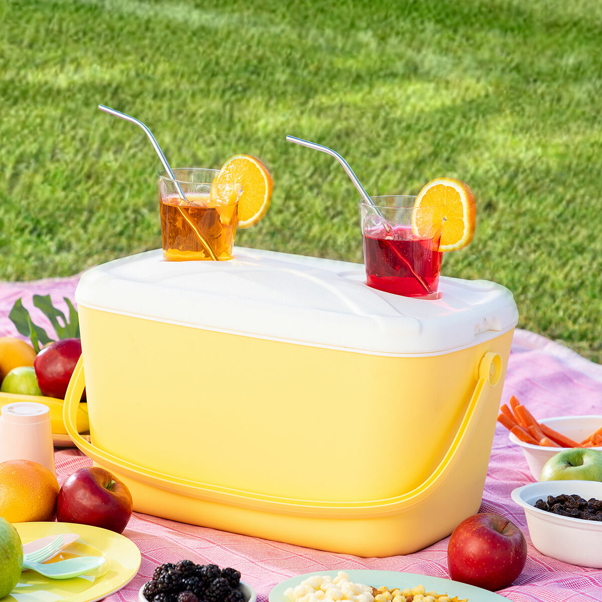 Travel Coolers
